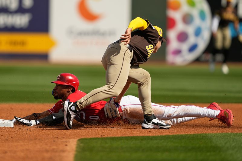 샌디에이고 파드리스의 2루수 송성문이 26일(현지 시간) 미 애리조나주 굿이어 볼파크에서 열린 신시내티 레즈와 시범경기 2회 말 수비하고 있다.뉴시스
