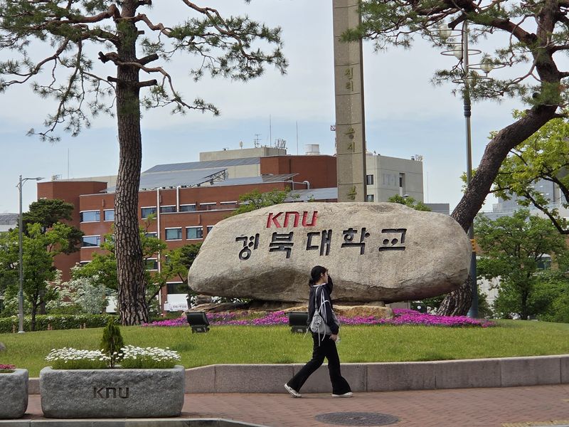 대구 소재 경북대학교. 2026.4.28 ⓒ 뉴스1 장시온 기자