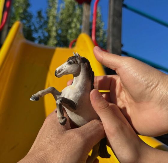 탕웨이가 SNS에 올린 사진. 뉴시스