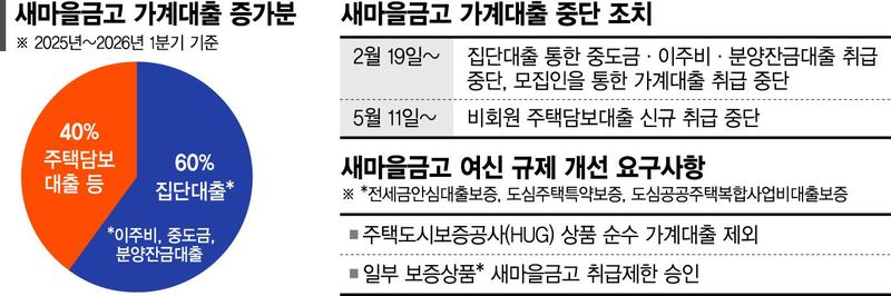 기업대출 줄고, 가계대출 막히고... 새마을금고 '가시밭길' - 뉴스 썸네일 이미지