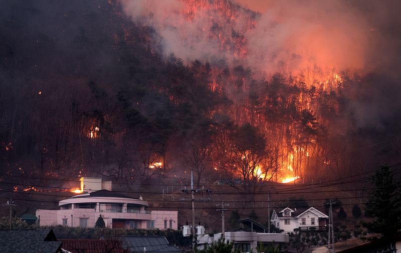 경북 의성군 산불 발생 나흘째인 지난해 3월25일 산불이 안동시 남후면 광음리 마을 인근까지 번지고 있다. 2025.03.25. /사진=뉴시스