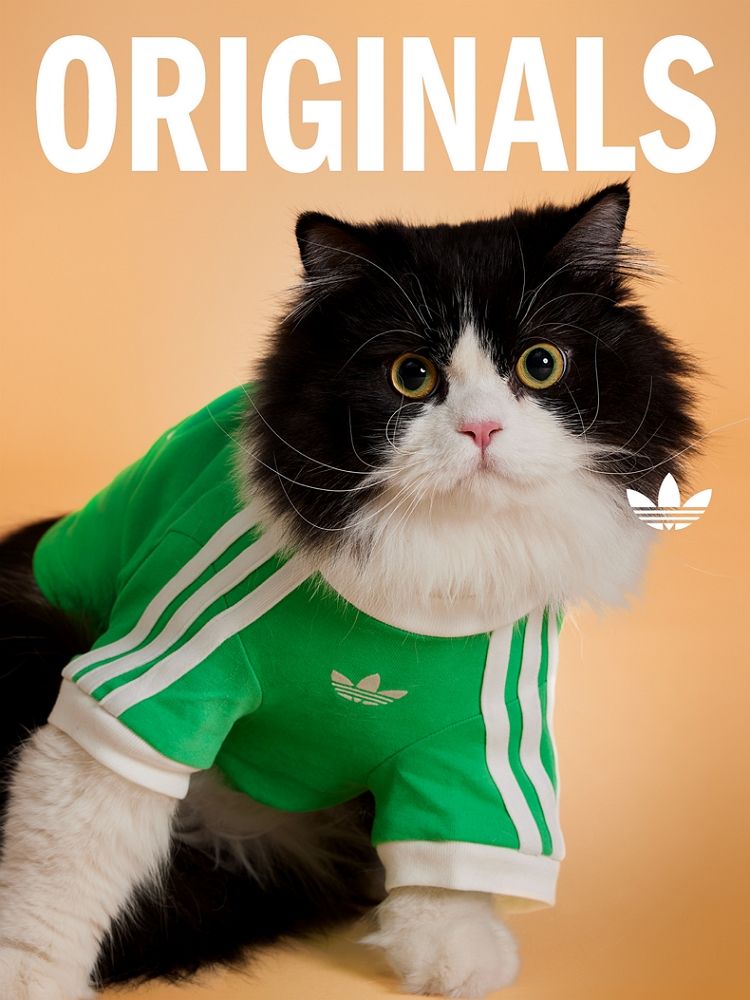 아디다스 오리지널스(adidas Originals)가 브랜드 아이덴티티를 반려동물 라이프스타일로 확장한 첫 '펫 컬렉션'을 출시했다. *재판매 및 DB 금지