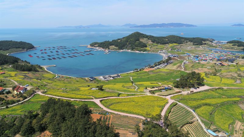 서편제길에서 바라본 오른쪽 도락리 풍경. 유채꽃과 청보리, 파란색 바다가 잠이라도 든 듯 평화롭다. 가운데 바다는 어촌계에서 운영했던 어촌 체험장인데 코로나 이후 중단됐다.(완도군청 제공)
