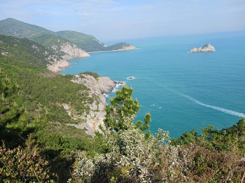 말탄바위에서 장기미해변으로 가는 비탈길을 청산도에선 명품길로 이름 짓고 여행객을 유혹한다. 숲속 길을 걷는 동안 아찔한 절벽에 가슴이 콩닥거려서 아래 바다를 제대로 볼 수 없었다.2026.5.5 ⓒ 뉴스1