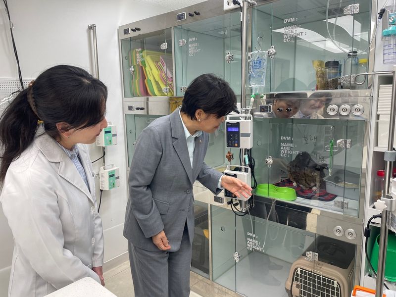동물병원에 입원한 고양이를 살피는 송미령 농림축산식품부 장관 (출처=연합뉴스)