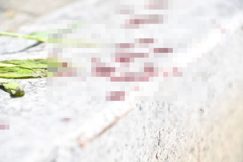 [광주=뉴시스] 변재훈 기자 = 5일 오전 광주 광산구 한 특성화고등학교 앞 왕복 6차선 대로변 인도 경계석에 신원을 알 수 없는 남성이 휘두른 흉기에 찔린 고등학생의 혈흔이 남아 있다. 앞서 이날 새벽 신원을 알 수 없는 한 남성이 휘두른 흉기에 찔려 여고생이 숨지고 또 다른 남학생 1명이 다쳤다. 2026.05.05. wisdom21@newsis.com