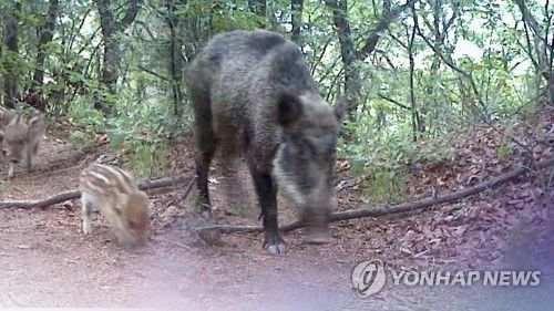 연합뉴스