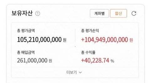 평가 손익이 1049억4900만원에 달하는 한 투자자의 계좌잔액. SNS 갈무리