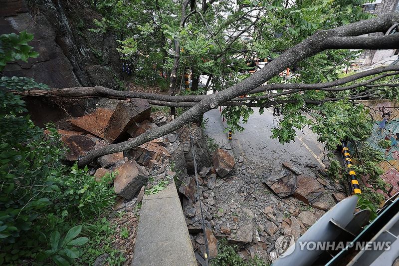 행인 덮친 암석…대구 남구 낙석 사고 (출처=연합뉴스)