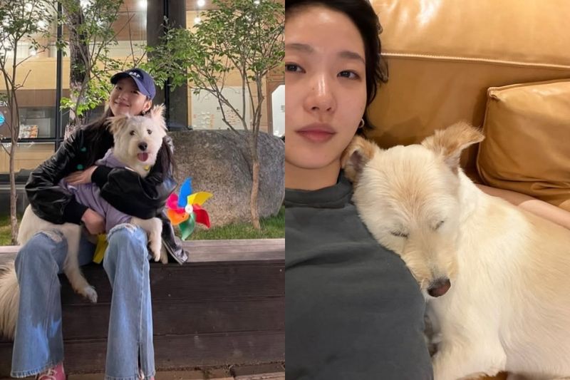 "거기선 아프지마"…김고은, 반려견과 안타까운 이별