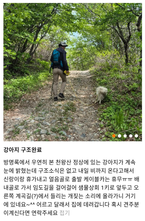 해발 1189m 산정상서 발견된 유기 추정 강아지…휴가 내고 구조한 부부