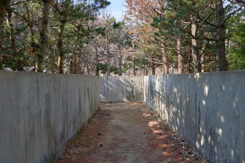 한국 역사의 상처를 표현한 '고난의 시대'