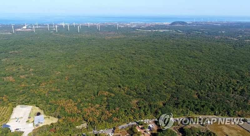 제주시 조천읍 선흘리 동백동산 일대. 제주도는 주민 참여형 생태관광과 생태계서비스지불제 등을 자연보전과 지역공동체 활동을 연결하는 정책 사례로 국제사회에 소개했다. 사진=연합뉴스