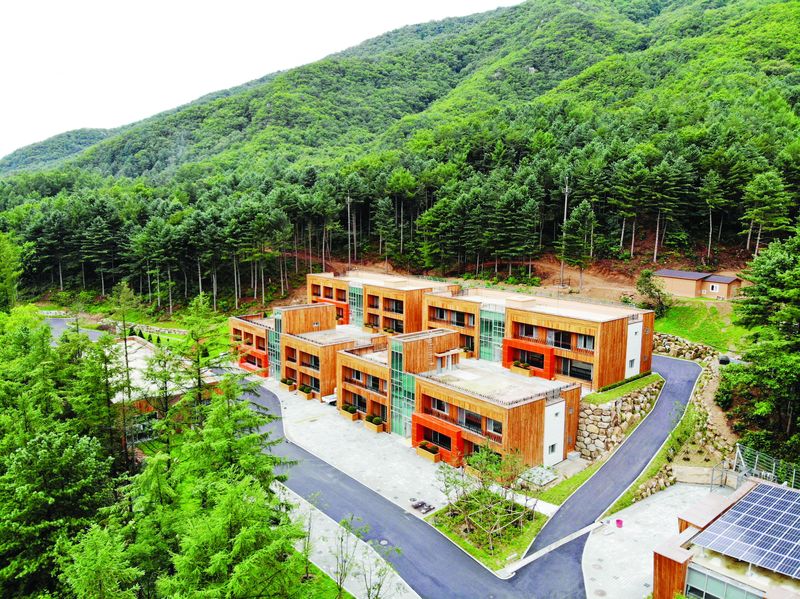 춘천시가 치유형 워케이션을 12월까지 진행하는 가운데 국립춘천숲체원에서는 숲해설과 브런치를 결합한 '숲에서 몸쉼 맘쉼'이 운영된다. 춘천시 제공