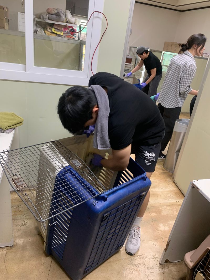 장인호 국민대 식품영양학과 학생회장이 지난 24일 유기동물 보호소 '유엄빠'에서 견사 청소 봉사활동을 하고 있다. 반려다움 제공
