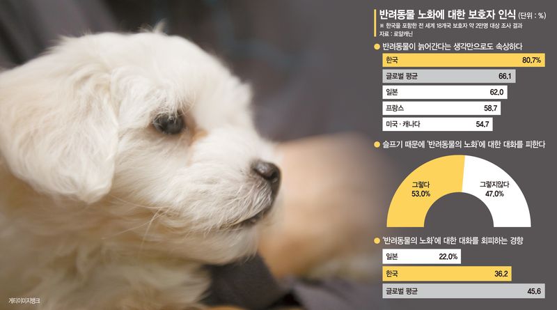 너의 시간이 천천히 흐르길… 지금 시작하는 노견·묘 건강관리[Weekend 반려동물]