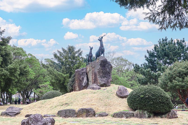 제주대학교 캠퍼스에 조성된 사슴상. 사슴은 제주대학교의 상징동물로, 제주대는 개교 100주년을 앞두고 교육·연구·재정·지역협력 혁신을 통해 거점국립대학의 역할을 강화한다. /사진=제주대학교 제공