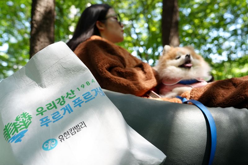유한킴벌리 '숲속 개꿀잠대회'