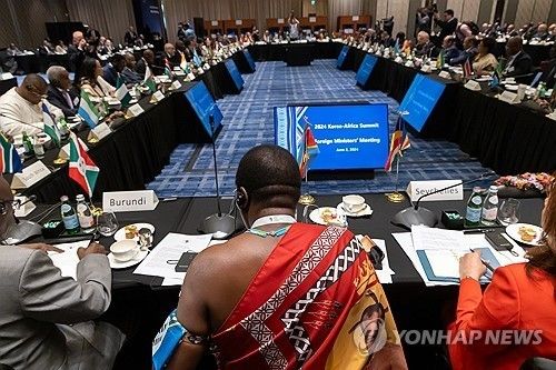 2024년 6월 당시 한-아프리카 정상회의 부대행사로 열린 외교장관회의 (출처=연합뉴스)