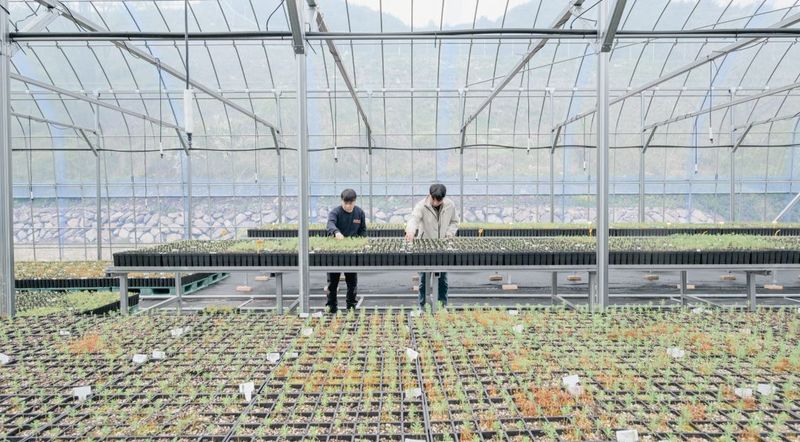 K자생식물 연구성과, AI기반 '디지털 자산'으로 바꾼다 - 뉴스 썸네일 이미지