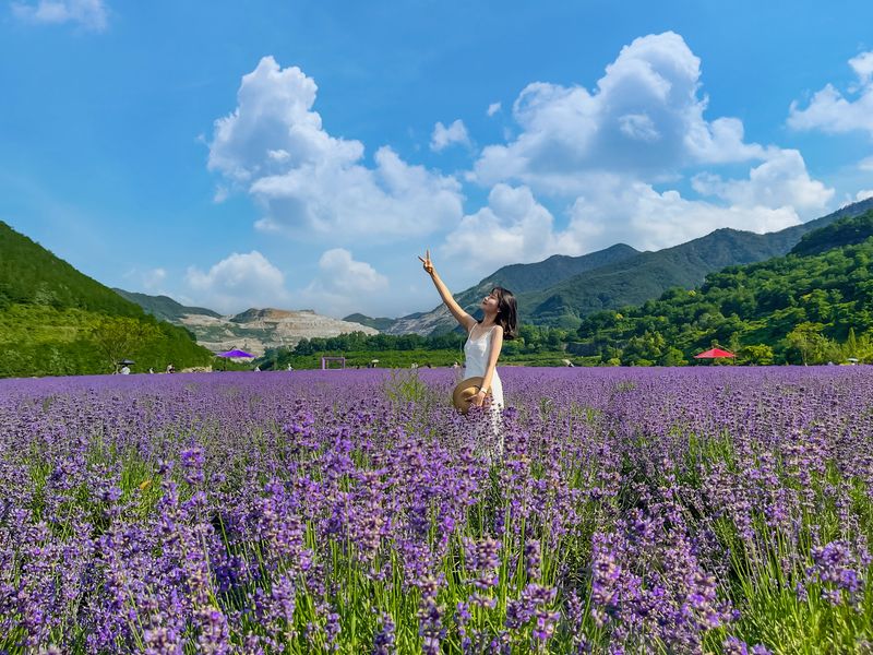 쇠락한 항구에서 힙한 여행지로… 묵호에 청춘들 몰린다 [Weekend 레저]