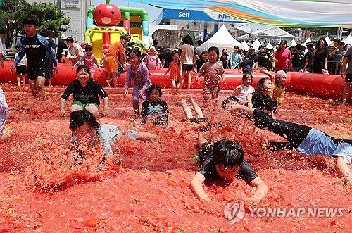 퇴촌 토마토축제. 연합뉴스