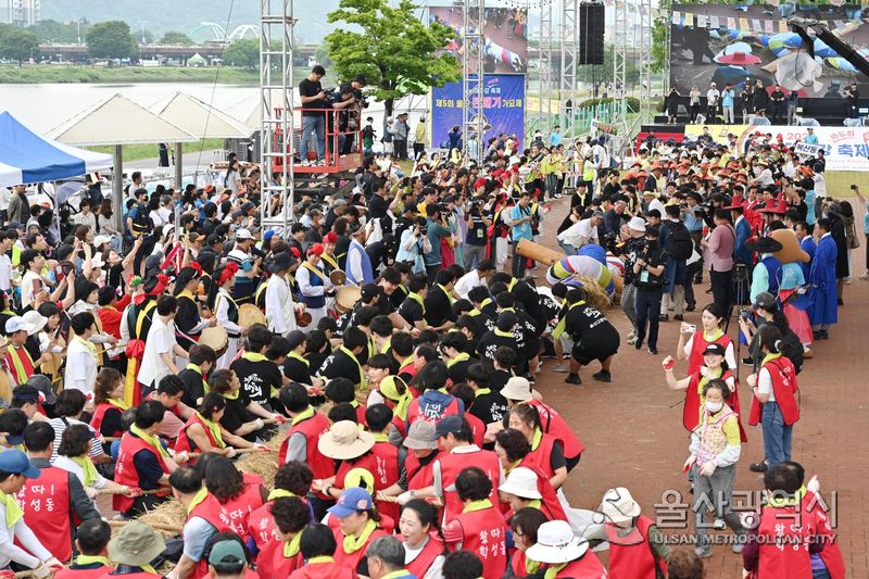 2025 울산 태화강 마두희 축제 '큰줄 당기기'. 울산시 제공