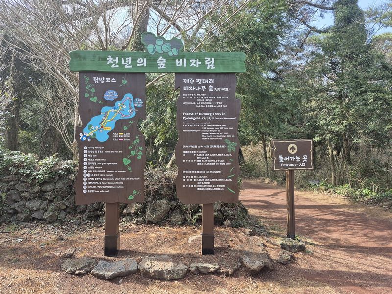 제주시 구좌읍 비자림 입구 안내판. 제주도 세계유산본부는 비자림 탐방로 식생 보호용 울타리를 기존 59m에서 86m로 늘려 천연목으로 재설치하고 탐방객 무단출입에 따른 숲 훼손을 줄일 계획이다. /사진=제주특별자치도 제공