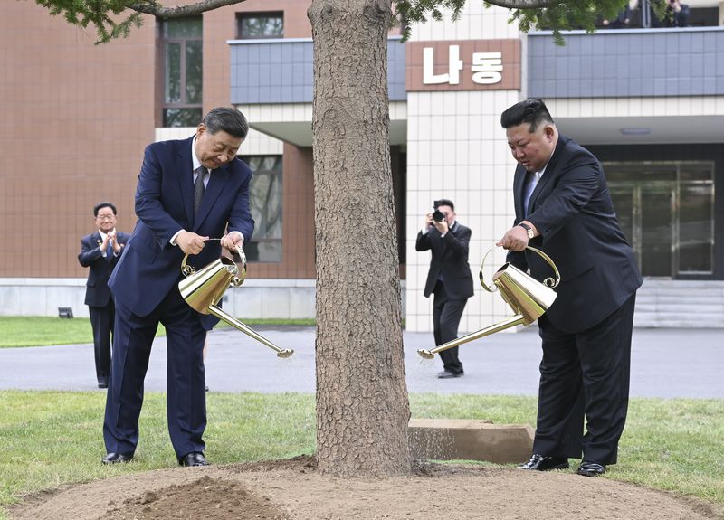 시진핑 중국 국가주석과 김정은 북한 국무위원장이 9일 평양의 조선노동당 중앙간부학교를 방문해 전나무 한 그루를 심고 있다. 신화뉴시스
