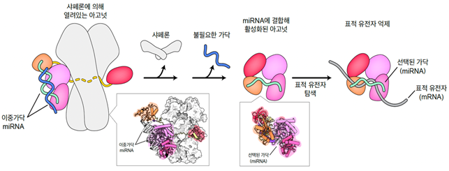 과학기술정보통신부 제공