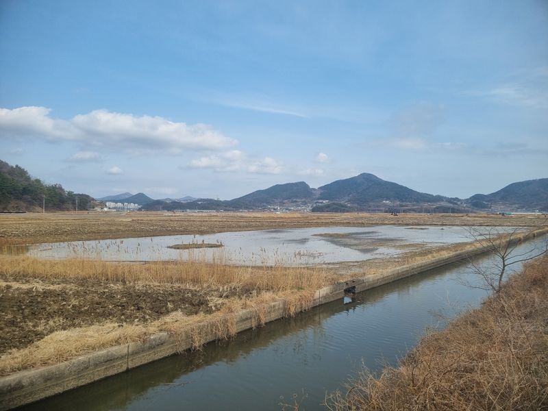 여수 철새 서식지 전경. (금호석유화학그룹 제공)