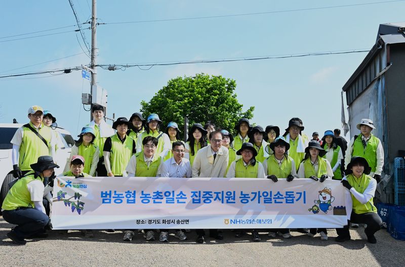 NH농협손해보험(대표이사 송춘수)은 지난 11일 최근 농번기 일손 부족으로 어려움을 겪는 경기 화성시 포도 농가를 찾아 일손돕기를 실시했다고 12일 밝혔다. /사진=파이낸셜뉴스