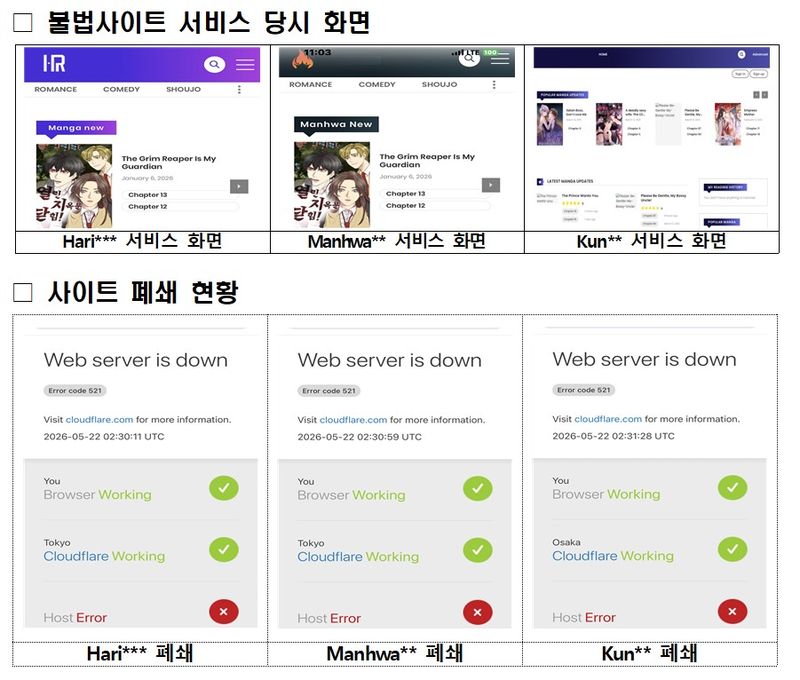 불법사이트 서비스 화면 및 사이트 폐쇄 현황. (문화체육관광부 제공) *재판매 및 DB 금지 /사진=뉴시스