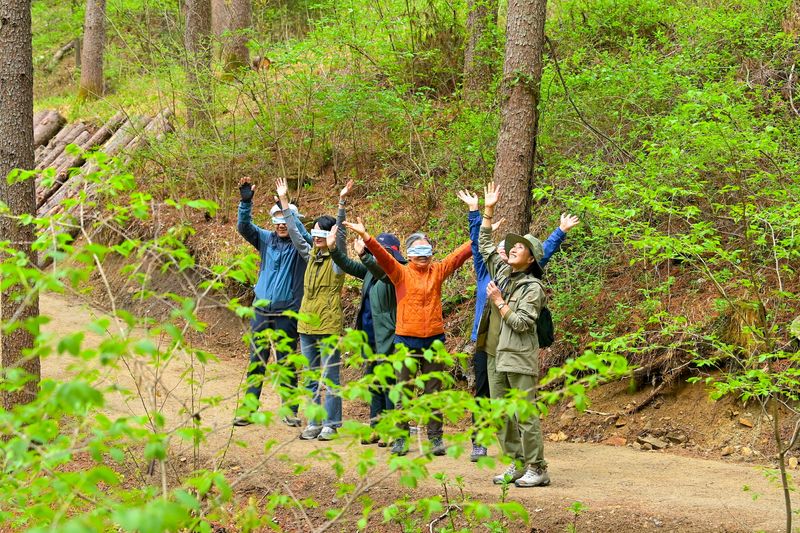 경북도가 맞춤형 지원체계 구축으로 고품질 치유관광 서비스 기반 강화에 나선다. 사진은 봉화군에 위치한 국립백두대간수목원(해설). 경북도 제공