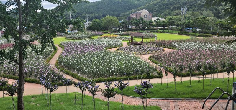 두산이 식재해 기증한 장성 무궁화공원 전경. 두산그룹 제공