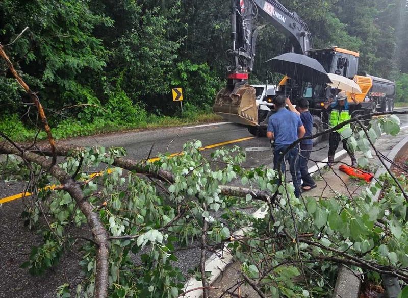 [원주=뉴시스] 부론면 자연재해. (사진=강원특별자치도 소방본부 제공) 2026.06.20. photo@newsis.com *재판매 및 DB 금지