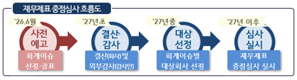 재무제표 중점심사 흐름도. 금융감독원 제공