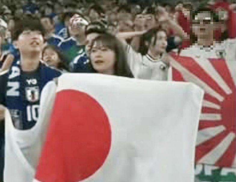[서울=뉴시스]서경덕 "FIFA에 고발할 것"…월드컵 일본-튀니지전 욱일기 논란 (사진 = 서경덕 교수 제공)