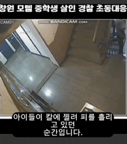 /영상=보배드림 인스타그램