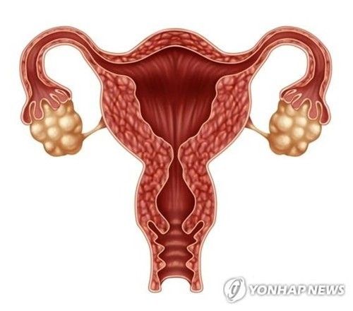 연합뉴스
