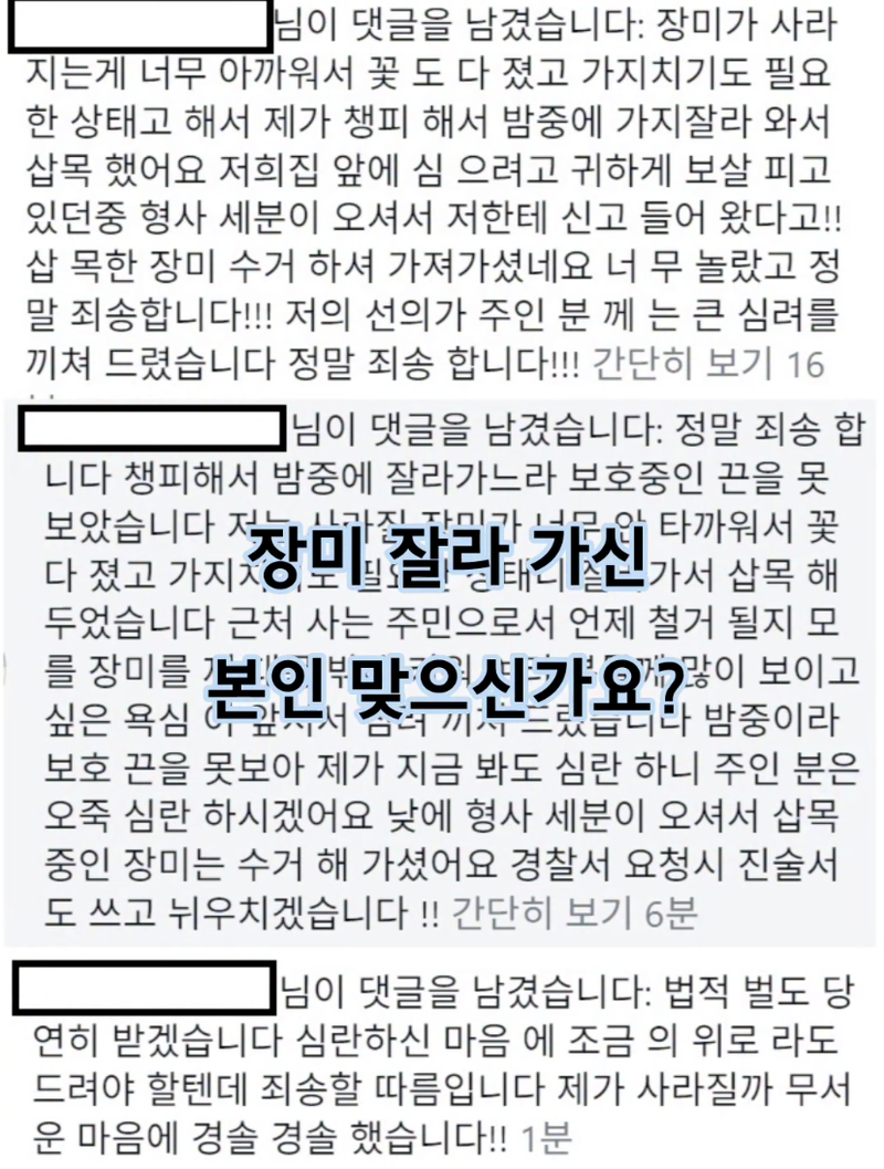 /사진=파란대문장미 인스타그램