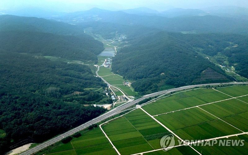 대구경북통합신공항 부지. 연합뉴스