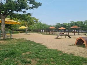 인천 월미공원 반려견놀이터의 운영시간이 확대된다. 사진은 월미공원 반려동물 놀이터 전경. 인천시 제공.