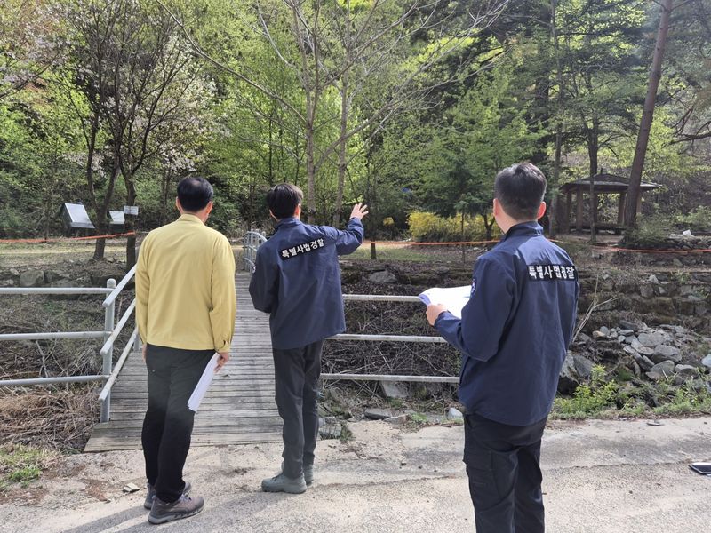 산림청 특별사법경찰의 수목 훼손 및 임산물 불법 채취 행위 단속 모습. 산림청 제공