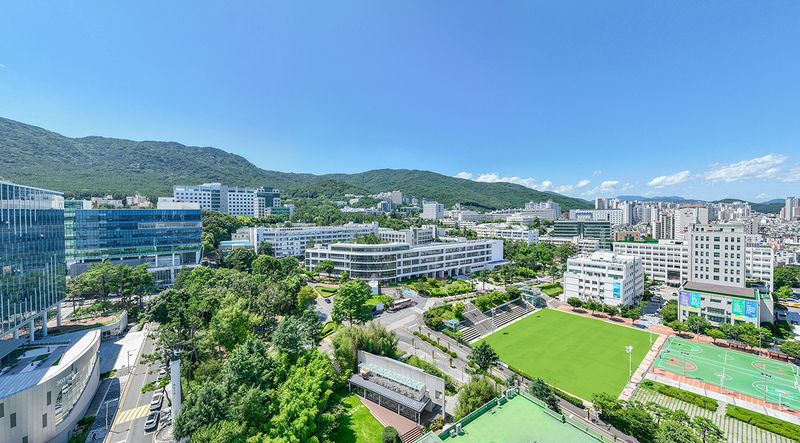 부산 금정구 부산대학교. 부산대 제공