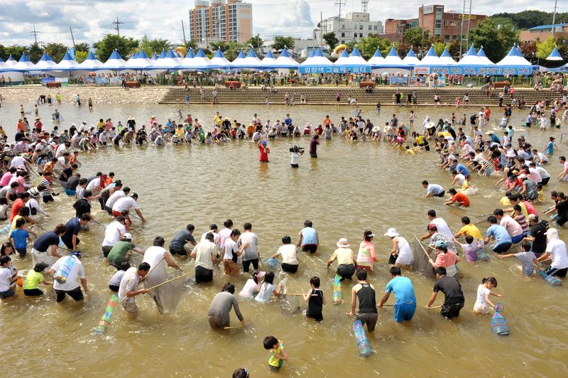 제28회 봉화은어축제가 25일~8월 2일 9일간 봉화읍 내성천 일원에서 열리며, 봉화가 여름 가족형 피서·체류 관광지로 주목받고 있다. /뉴스1