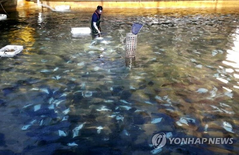 연합뉴스