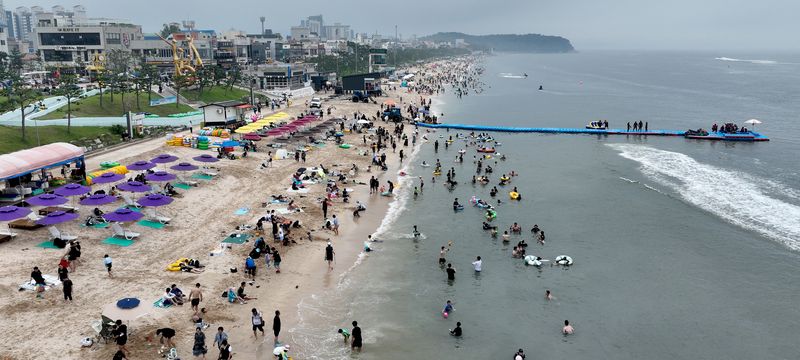 제헌절 연휴 첫날인 17일 충남 보령 대천해수욕장에 많은 인파가 몰려 연휴를 즐기고 있다.(보령시 제공. 재판매 및 DB금지) 2026.7.17 ⓒ 뉴스1 김기태 기자