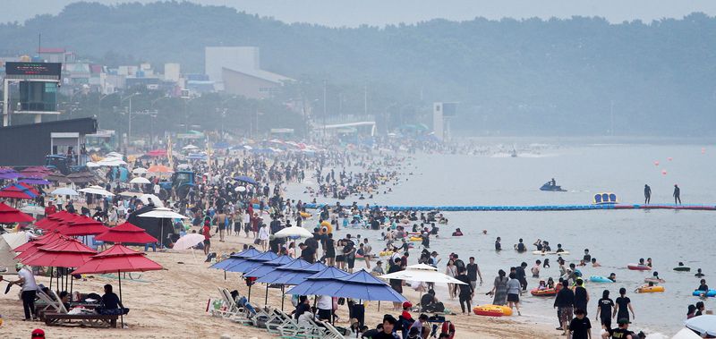 제헌절 연휴 첫날인 17일 충남 보령 대천해수욕장에 많은 인파가 몰려 연휴를 즐기고 있다.(보령시 제공. 재판매 및 DB금지) 2026.7.17 ⓒ 뉴스1 김기태 기자
