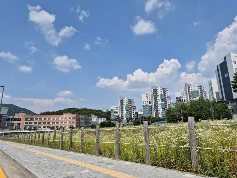 "신혼이면 여기가 딱"...알려질까봐 거래 신고도 늦춘다는 이 동네